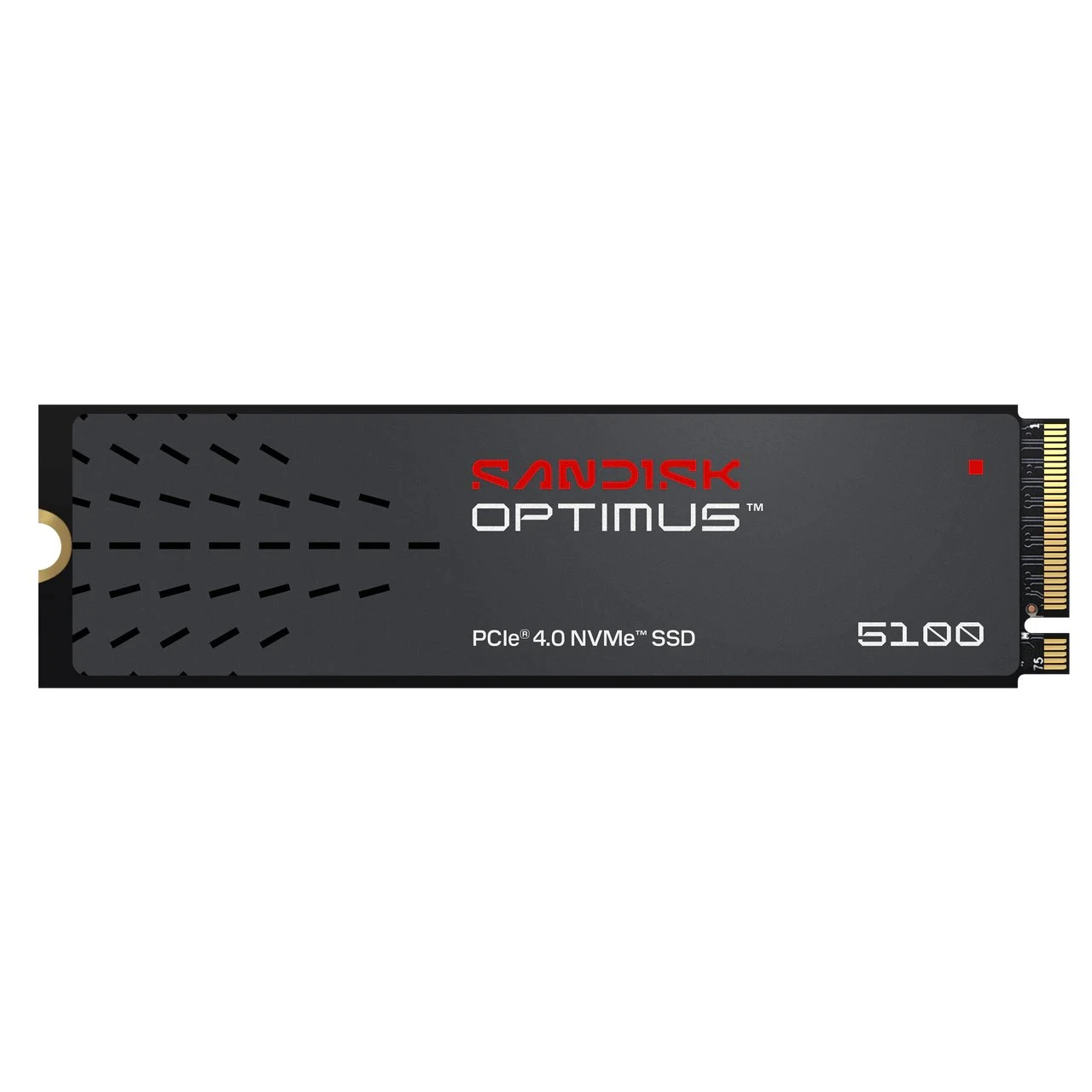 SANDISK Optimus 5100 SSD M.2 NVMe 4TB Gen4 6900/6700MBps